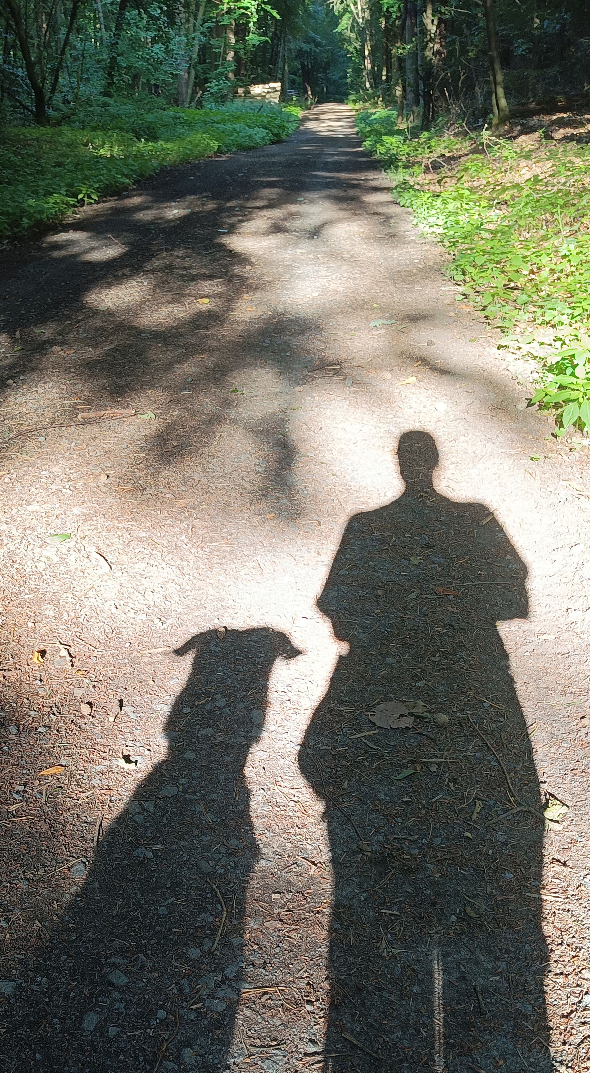 Meine Hündin und ich bei einer
