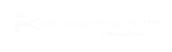 S+K Autospritzwerk Höri GmbH-Logo