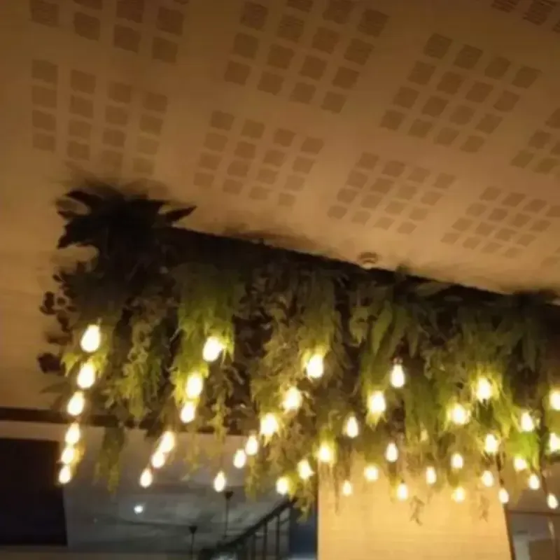Plantas colgantes con luces cálidas de cadena sobre un techo estampado en el interior.