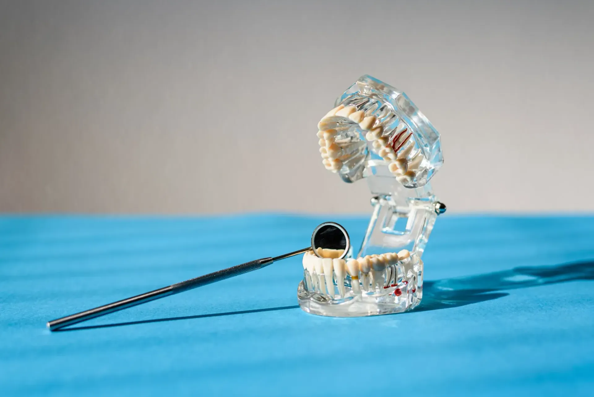 Modelo dental y espejo sobre una superficie azul; dientes blancos visibles en el modelo transparente.
