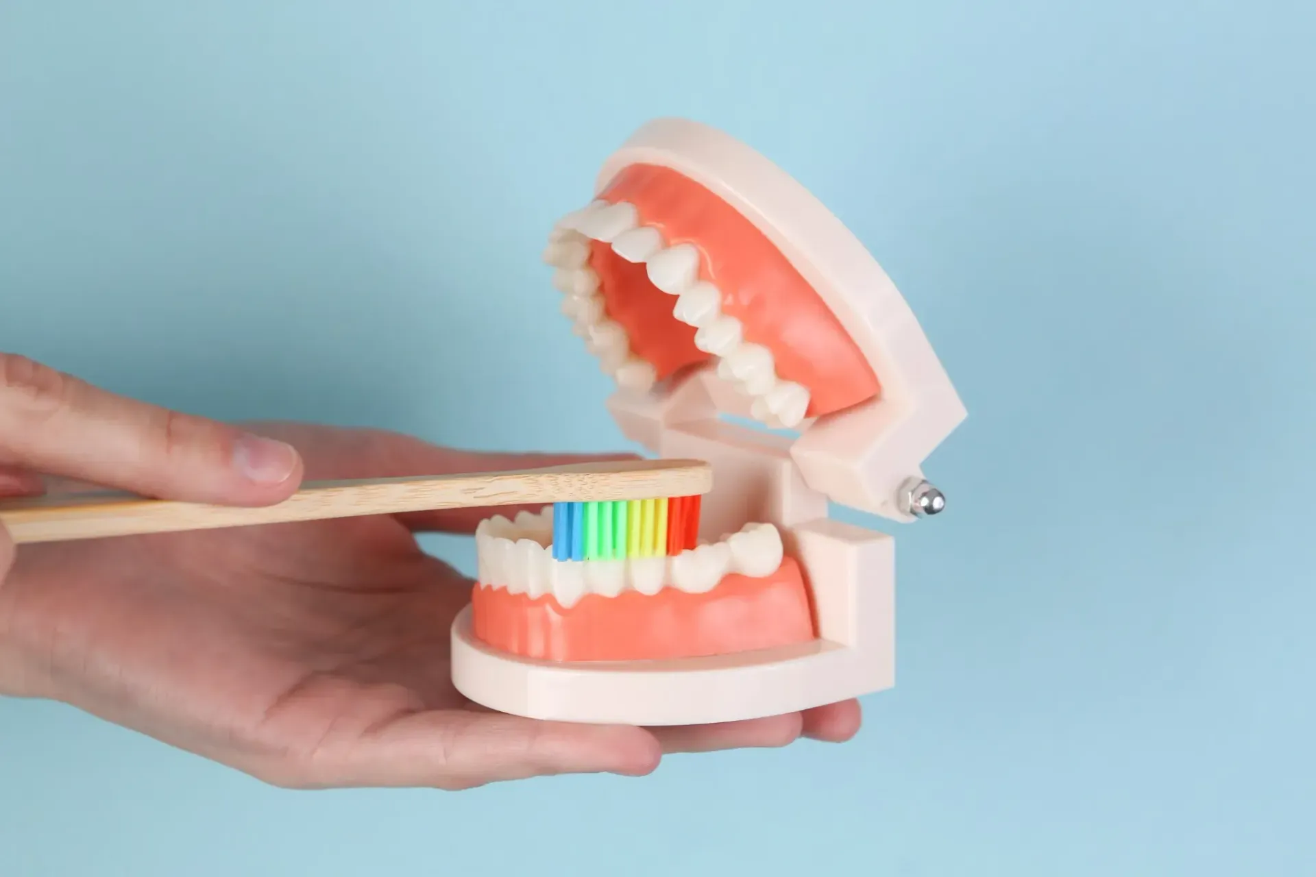 Mano sosteniendo un cepillo de dientes, limpiando un modelo de dientes de colores del arco iris sobre un fondo azul.