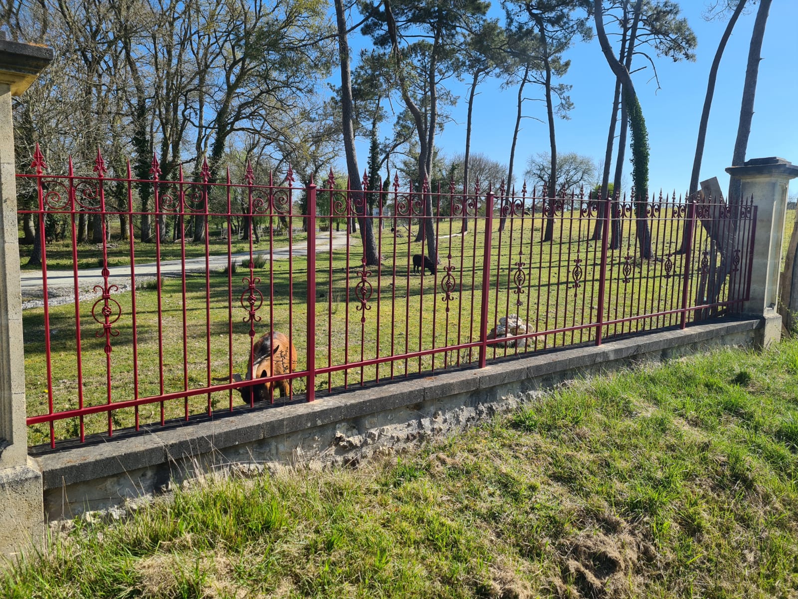 Clôture en acier en gros plan