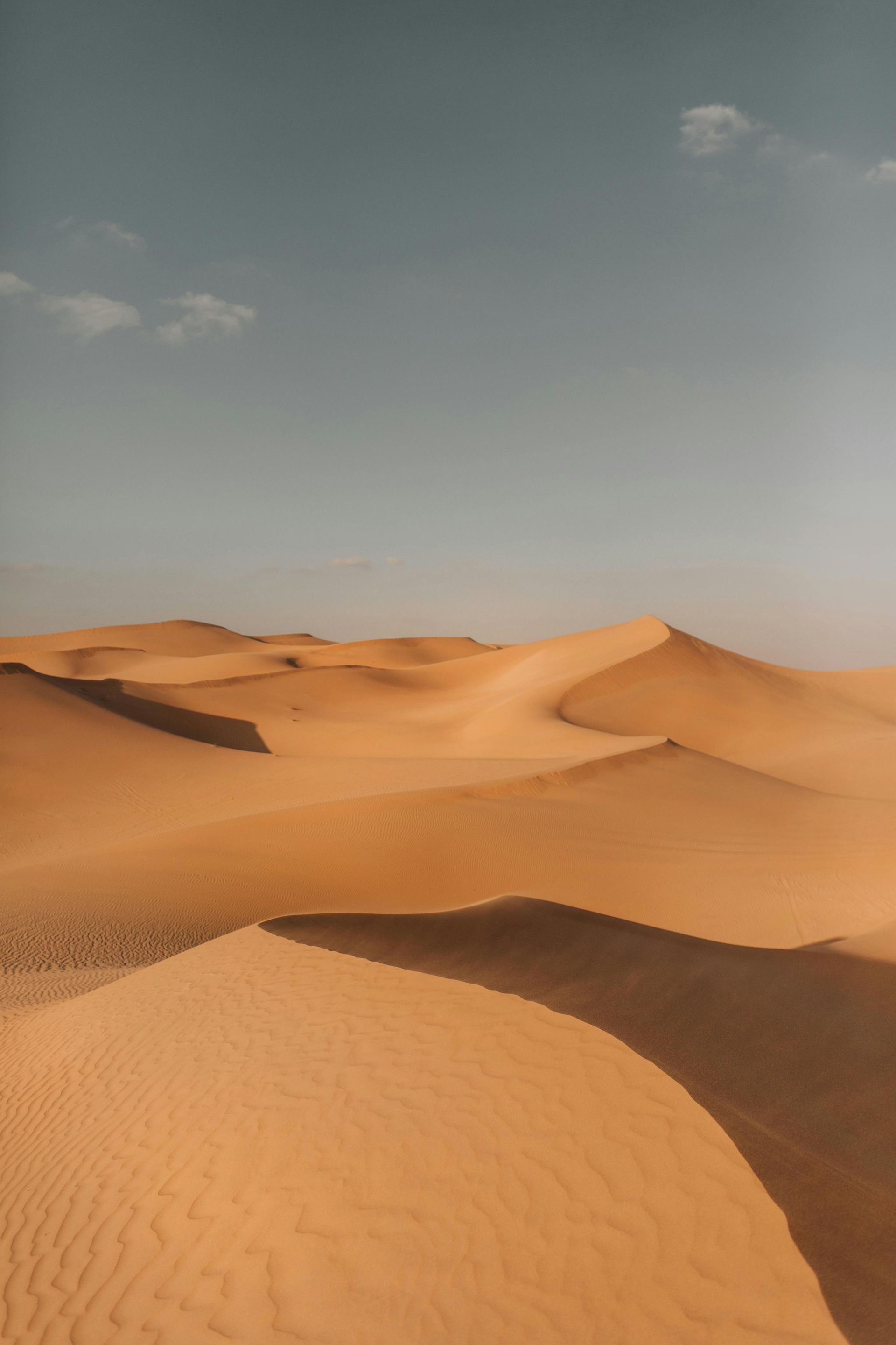 Dunes de sable ondulantes sous un ciel clair dans un paysage désertique