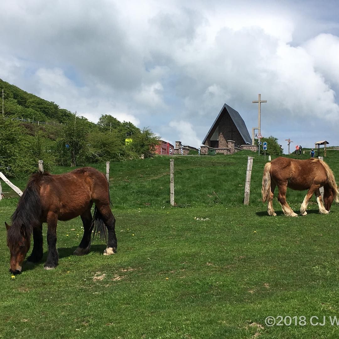 Dos caballos marrones pastando en un campo verde cerca de una pequeña iglesia bajo un cielo nublado.