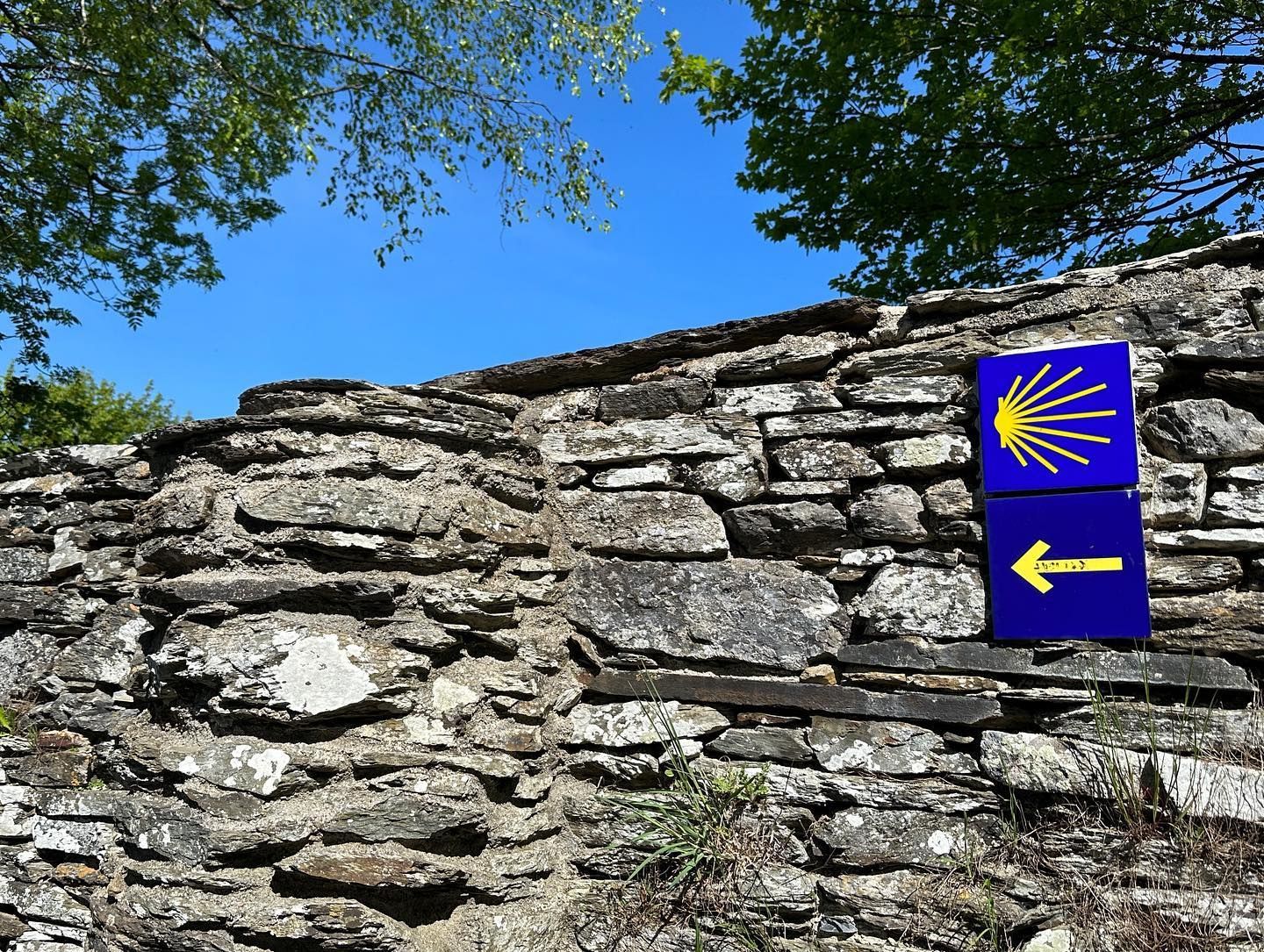 Muro de piedra con señal azul del Camino que muestra una concha amarilla y una flecha hacia la izquierda
