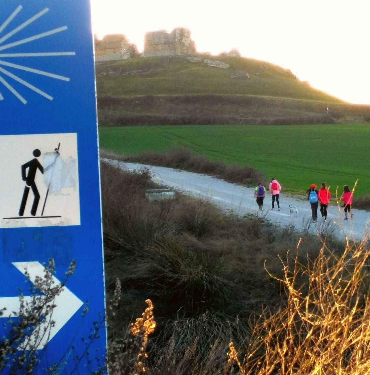Un cartel azul de senderismo junto a un sendero con excursionistas con chaquetas brillantes en una ladera verde al atardecer.
