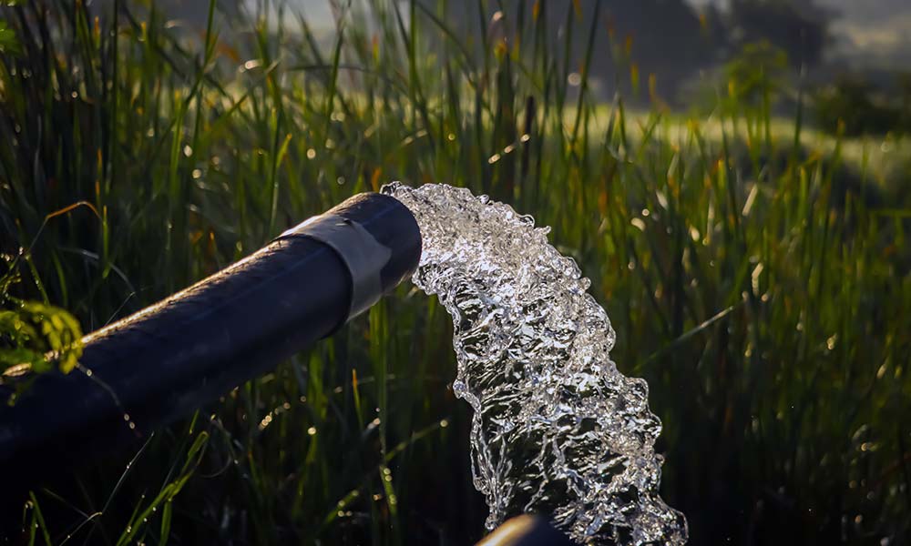 Eau sortant d'un tube dans les hautes herbes