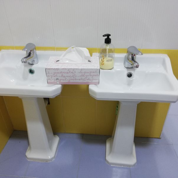 Un baño con dos lavabos y una caja de pañuelos.