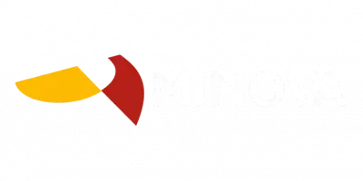 Minova Logo