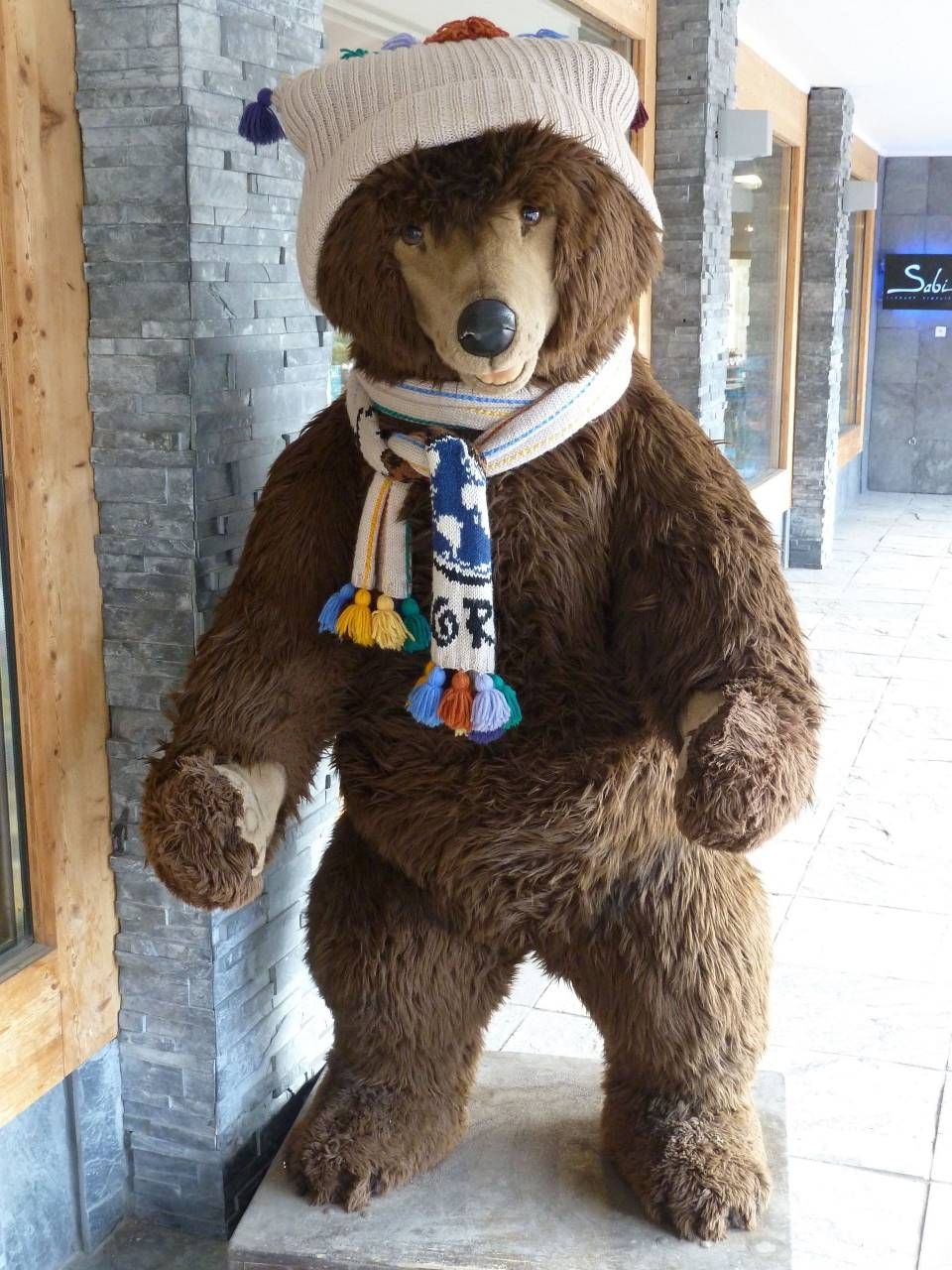 Statue d'ours brun portant un bonnet et une écharpe tricotés, se dressant sur une allée de pierre