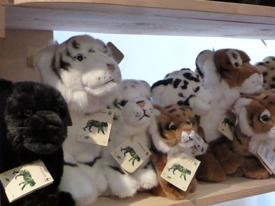 Des peluches alignées sur une étagère, notamment des chats, des chiens et un panda de différentes couleurs.