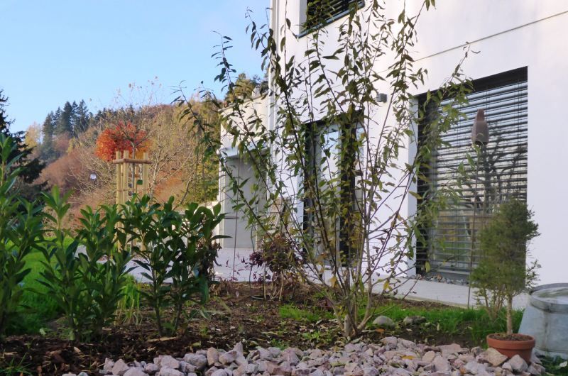 Modernes Pultdachhaus - Bild 6