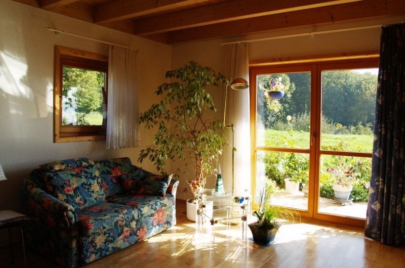 Holzhaus am Hallwiler See - Bild 5