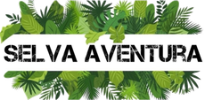 logotipo cabecera