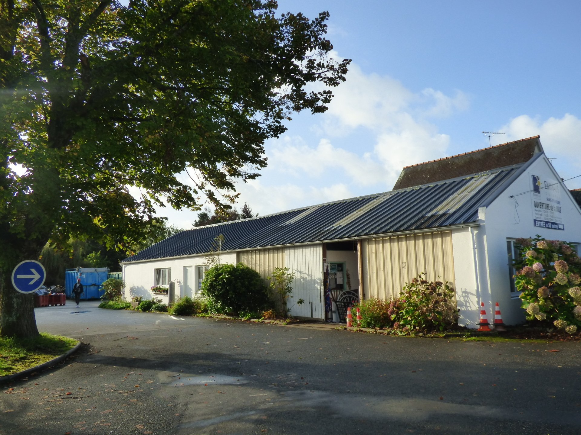 les ateliers devant le grand arbre