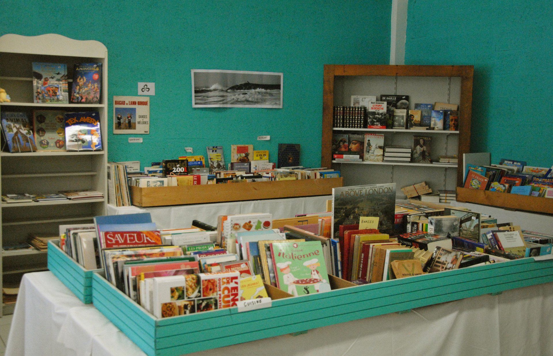 salle avec des livres