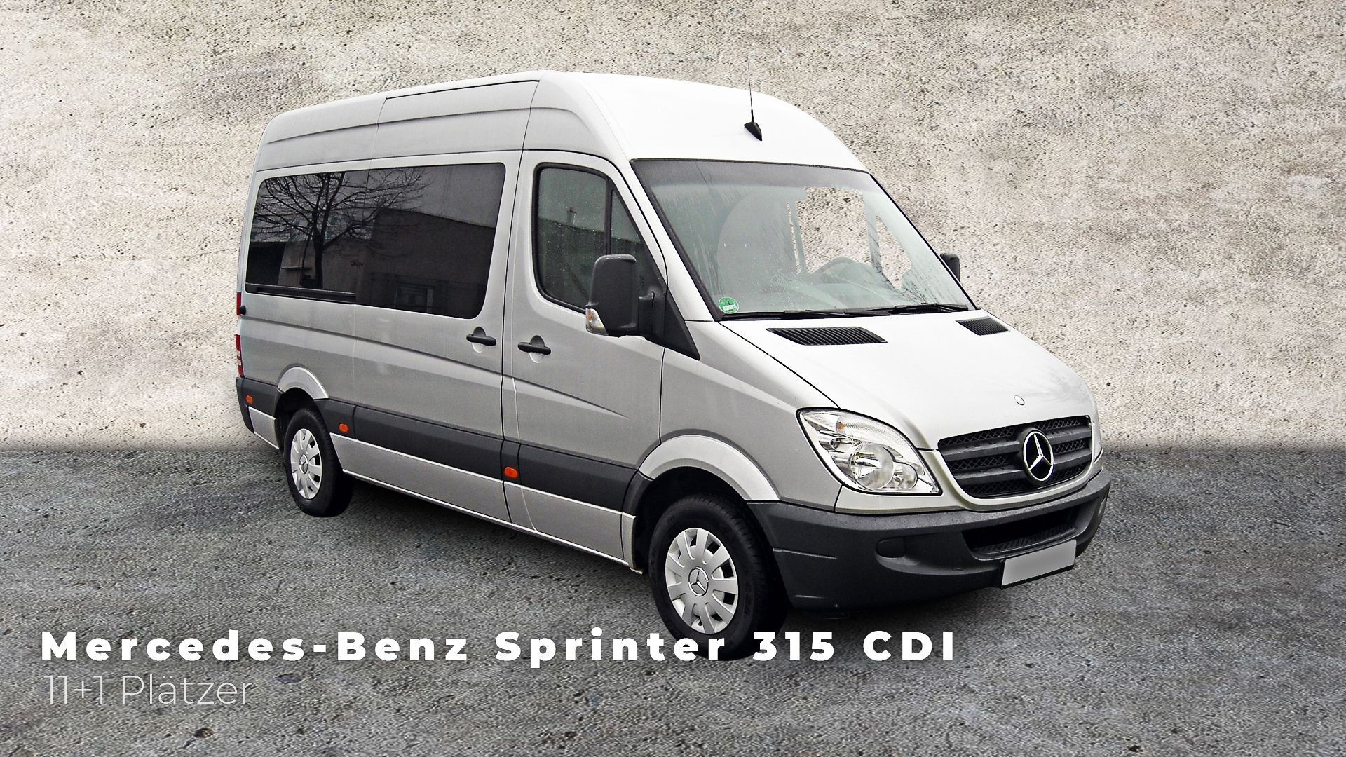 Mercedes Benz Viano 2.2 CDI Grau- Travel-Tipp GmbH