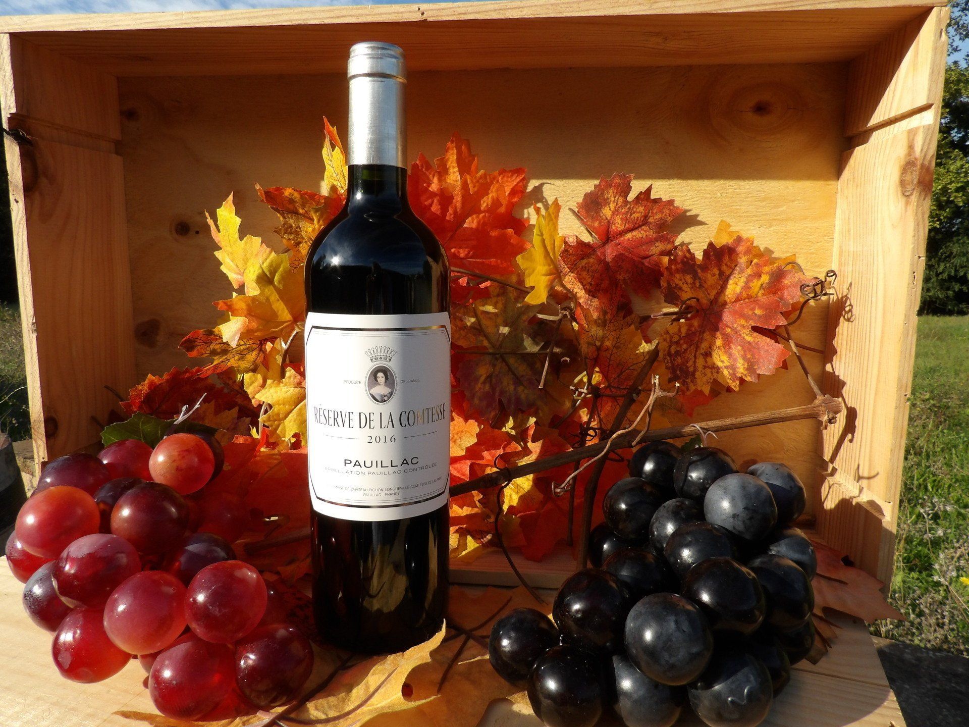 Réserve de la Comtesse