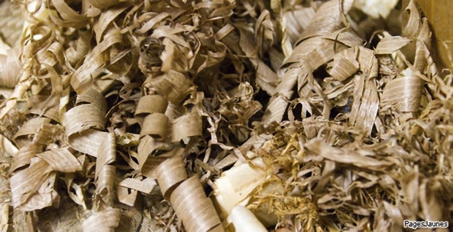 Plaquettes forestières