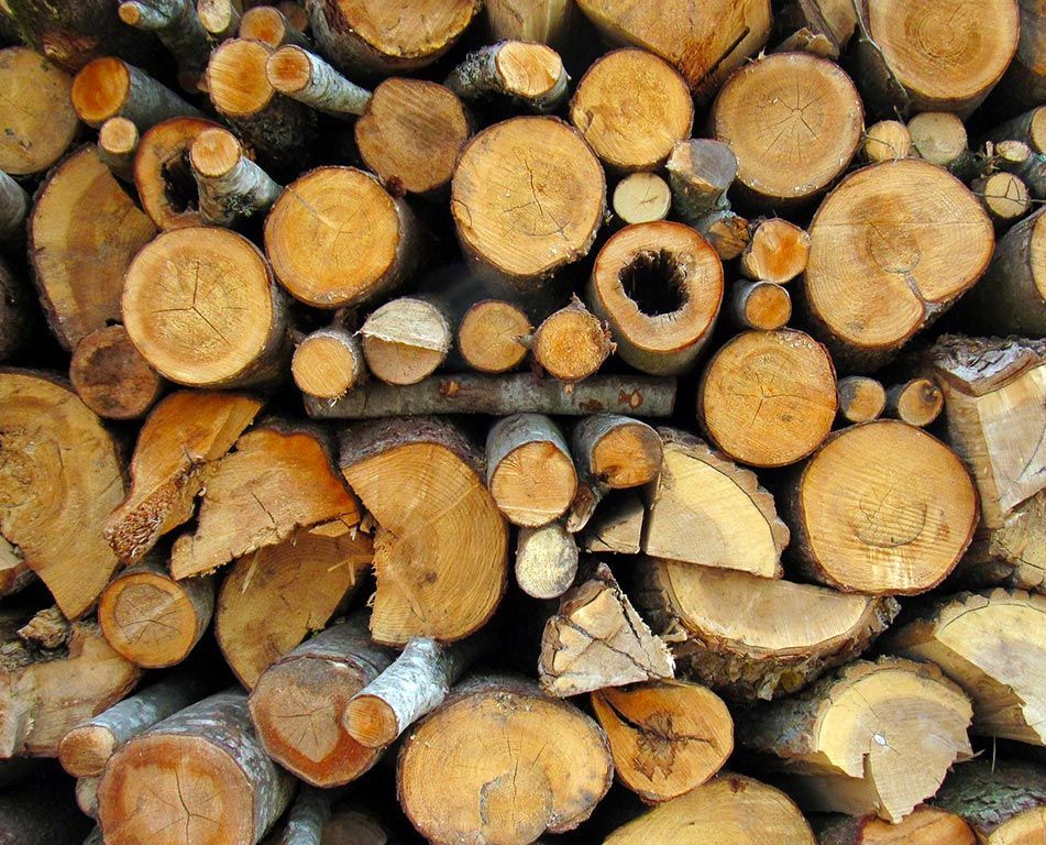 Des bûches de bois