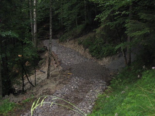 Sanierung Waldstrasse