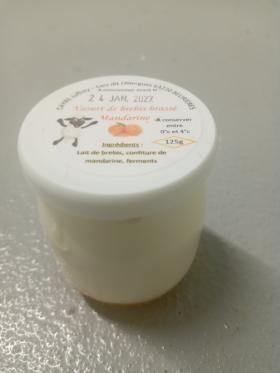 Petit pot en plastique blanc avec un couvercle imprimé, posé sur une surface claire.