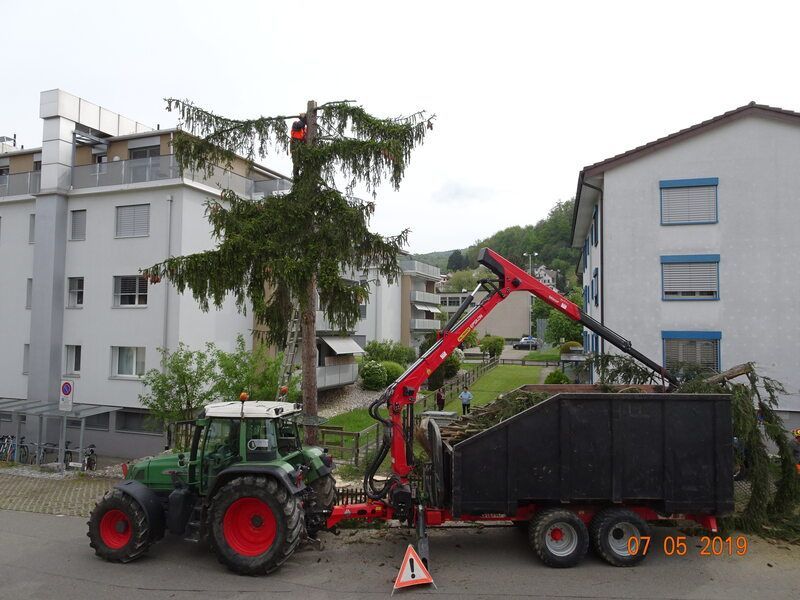 Baumfällung, Foto der Vögtli Agrar-Forstservice GmbH