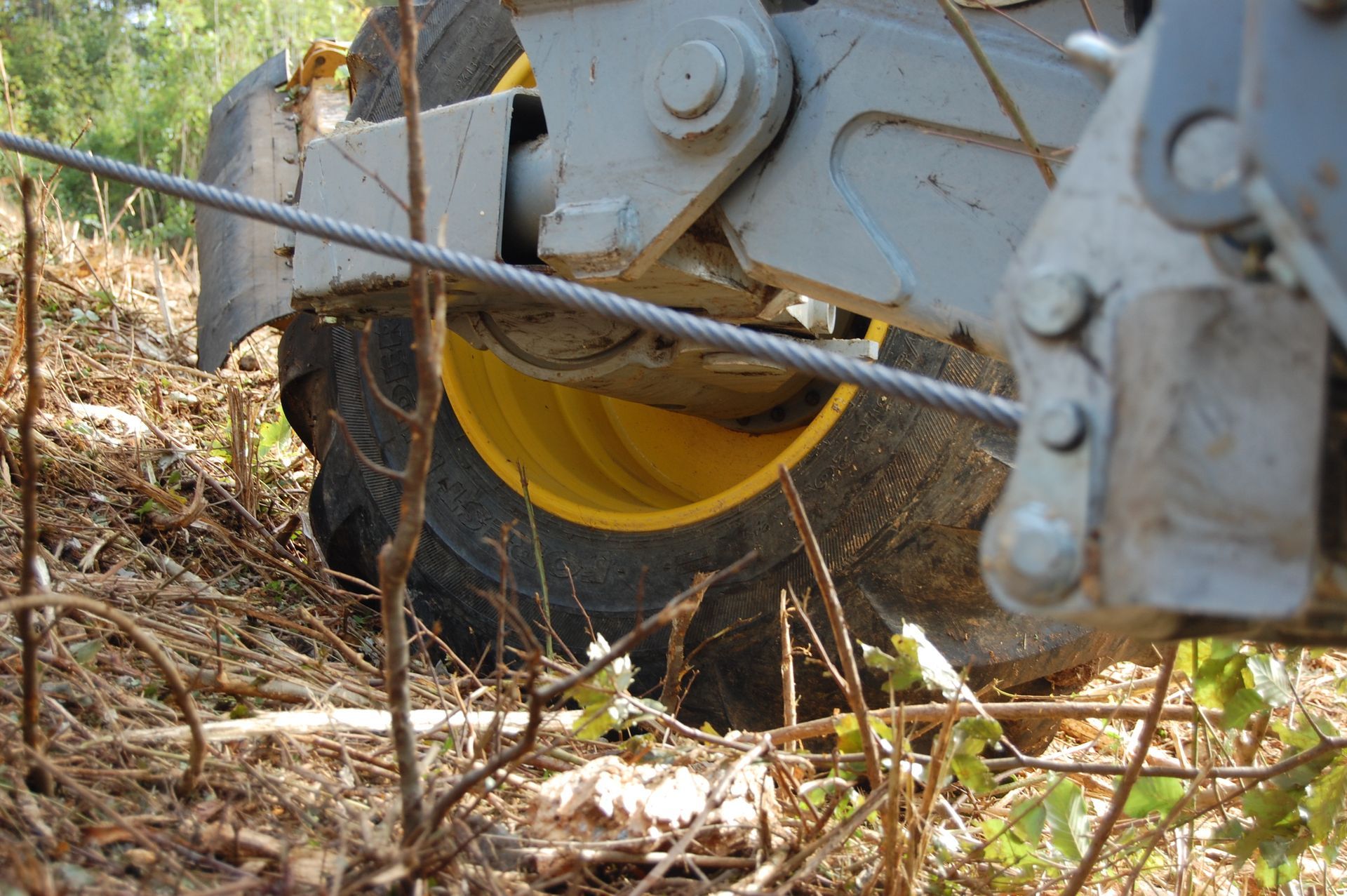 Rodungsarbeiten - Aeschlimann Umwelttechnik AG in Busswil BE