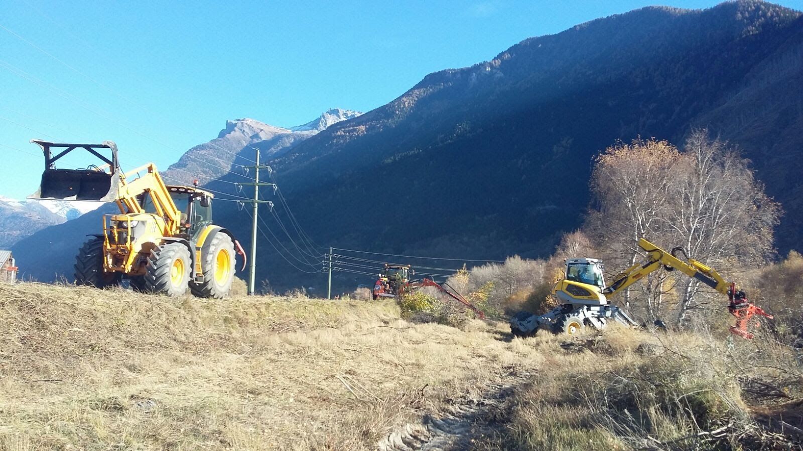 Rodungsarbeiten - Aeschlimann Umwelttechnik AG in Busswil BE