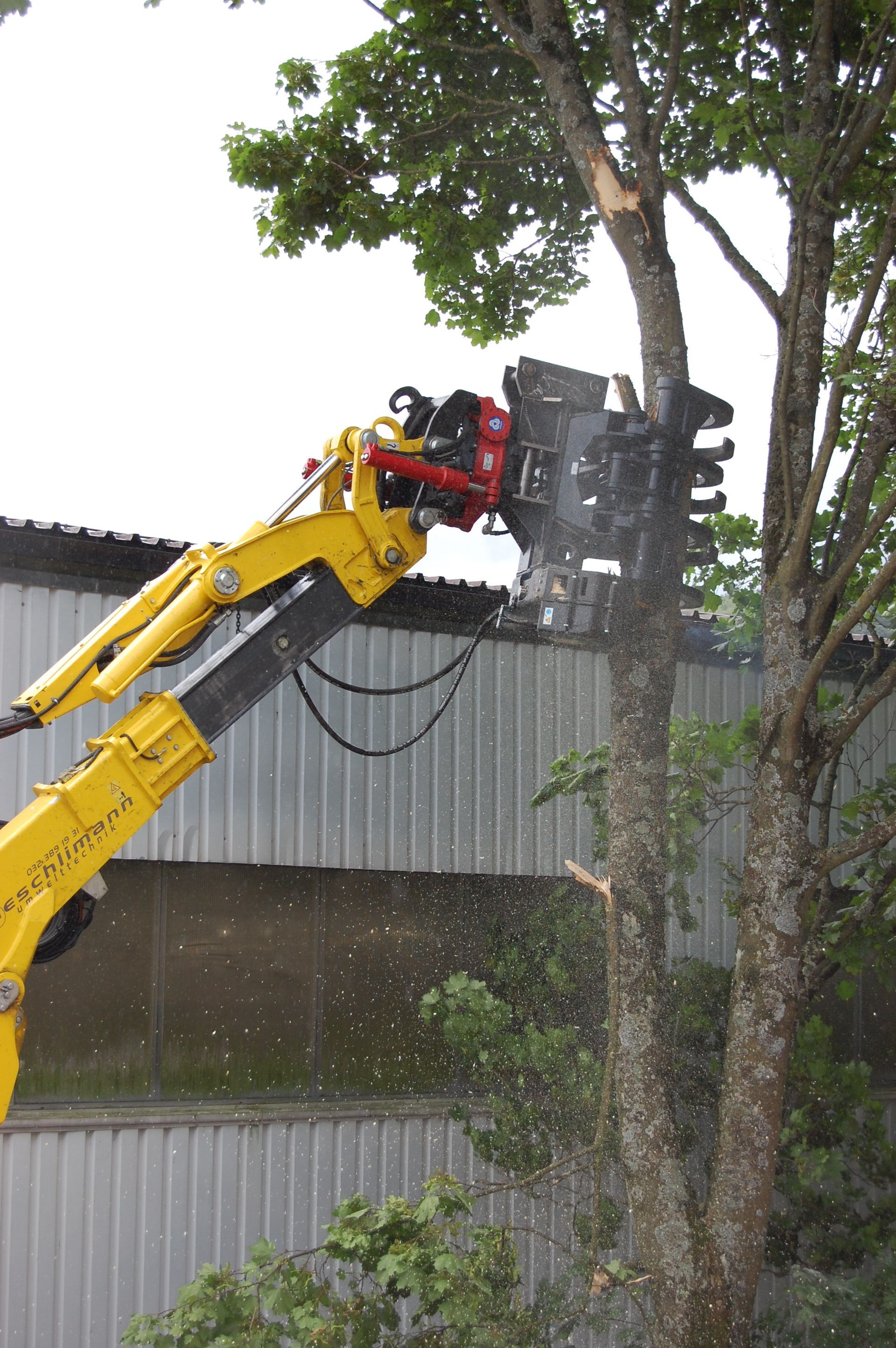 Rodung mit Greifersäge - Aeschlimann Umwelttechnik AG in Busswil BE