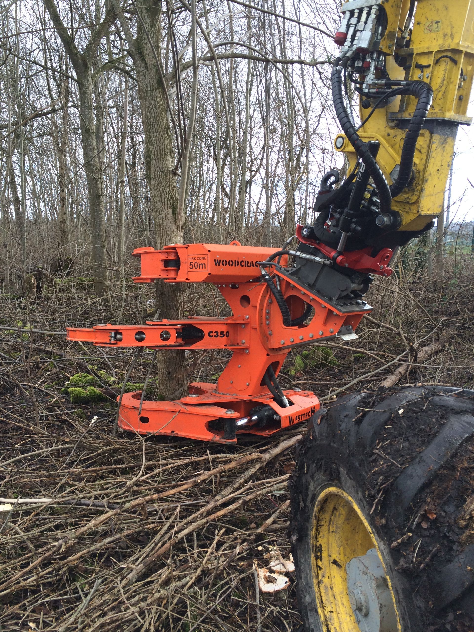 Rodung mit Sammelgreifer 4 - Aeschlimann Umwelttechnik AG in Busswil BE