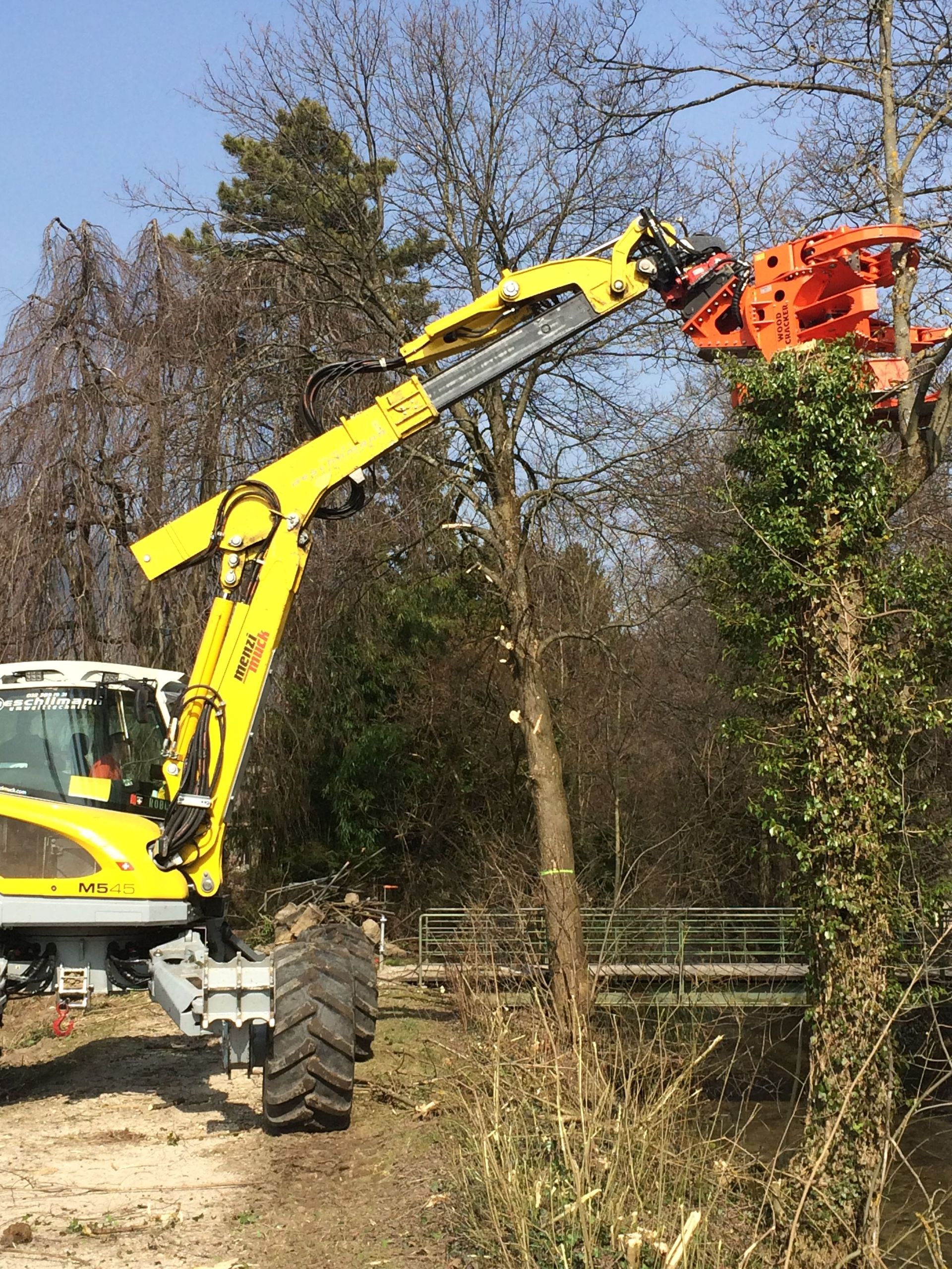 Rodung mit Sammelgreifer - Aeschlimann Umwelttechnik AG in Busswil BE