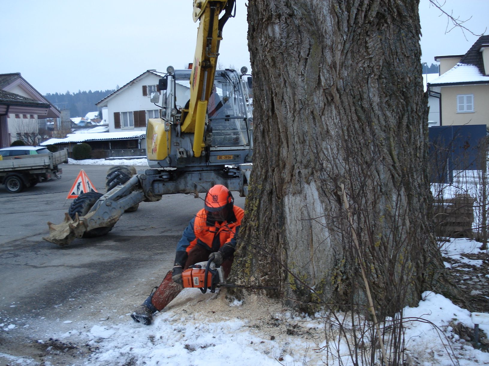 Rodung motor manuell - Aeschlimann Umwelttechnik AG in Busswil BE
