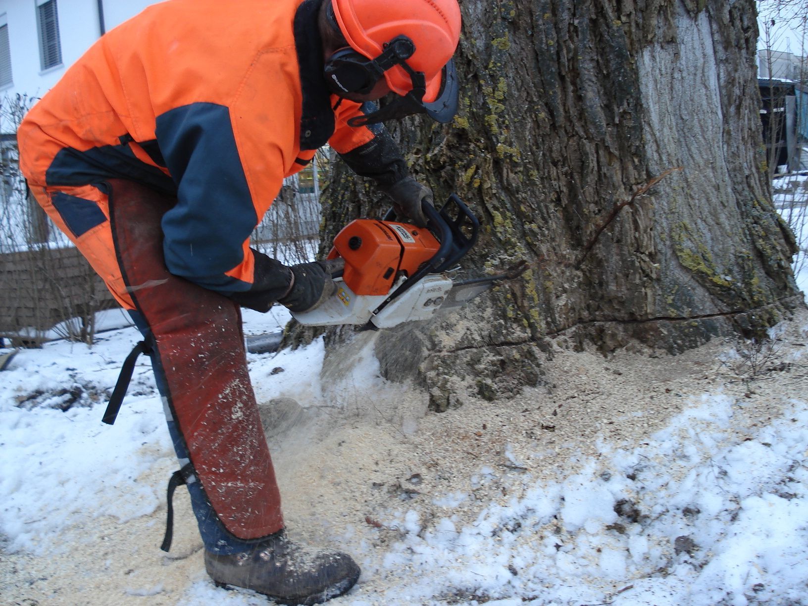 Rodung motor manuell 2 - Aeschlimann Umwelttechnik AG in Busswil BE