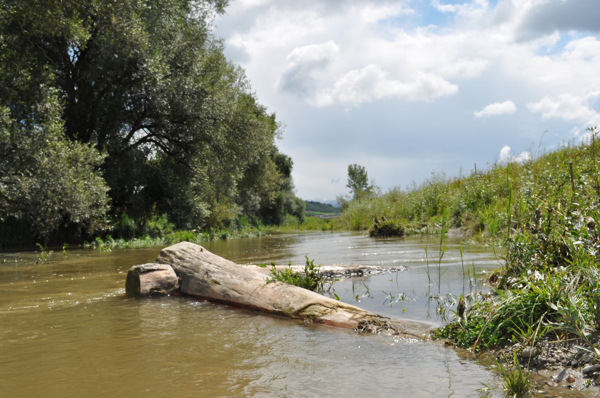 Wasserbau - Aeschlimann Umwelttechnik AG in Busswil BE