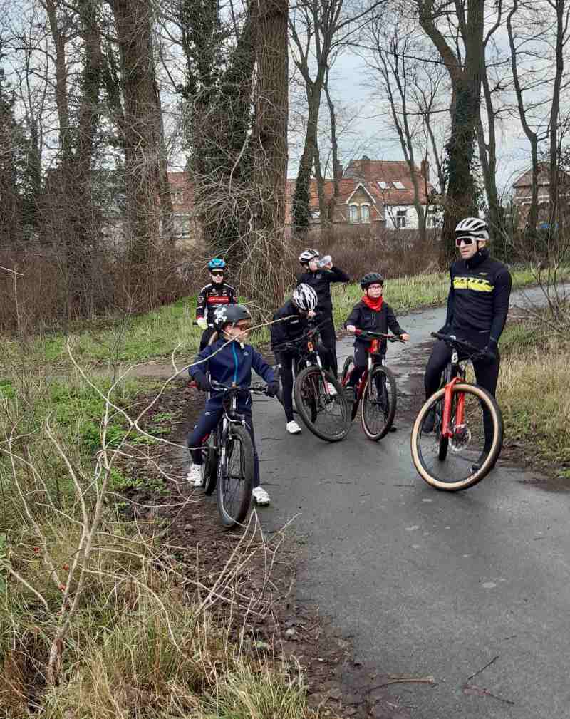 Mountainbike in bos