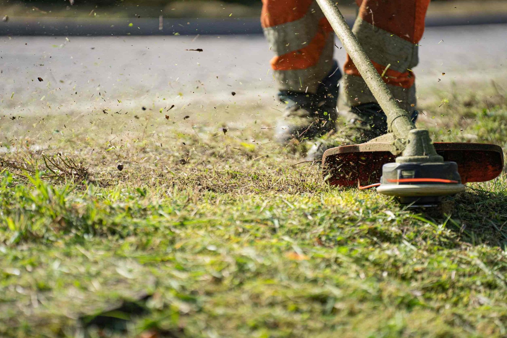 Una persona está cortando el césped con una cortadora de césped.