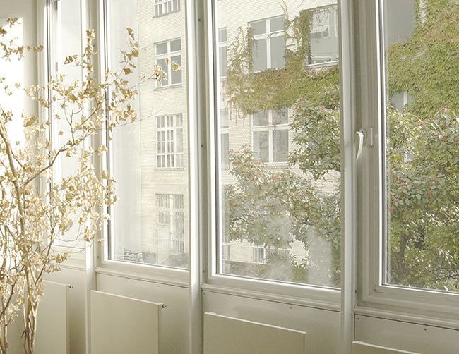De hautes fenêtres à cadre blanc donnent sur un bâtiment recouvert de verdure et sur un arbre nu à l'intérieur.