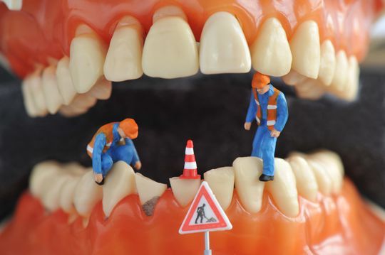 prophylaxe- Seedent Ihre Zahnarztpraxis Dr. med. dent. Nies