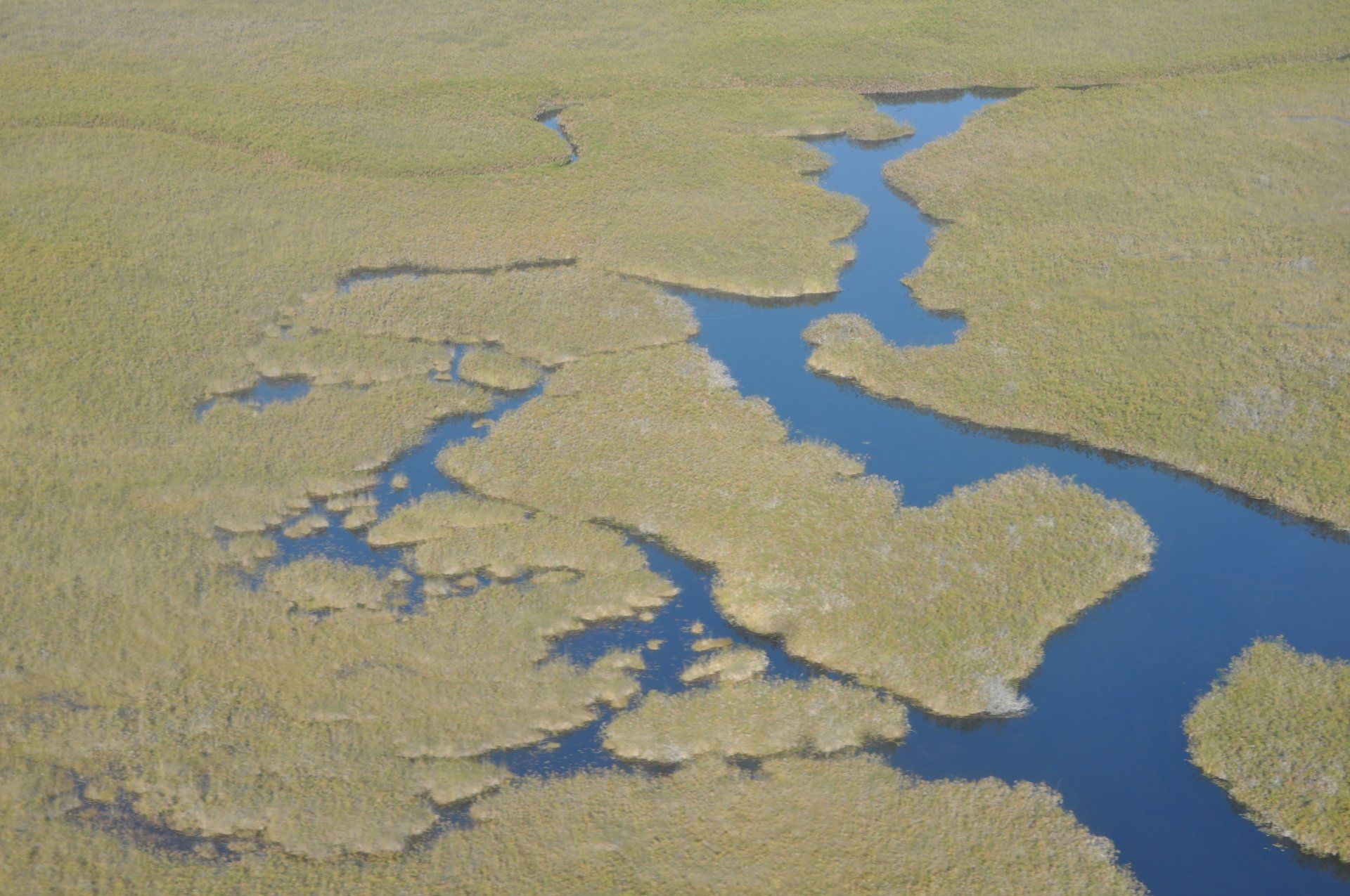 Delta Botswana