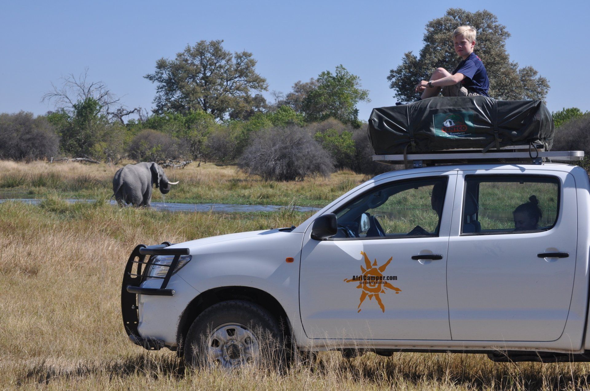 Safari Botswana