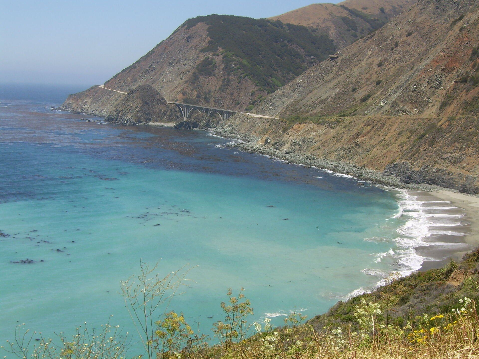 Zee California