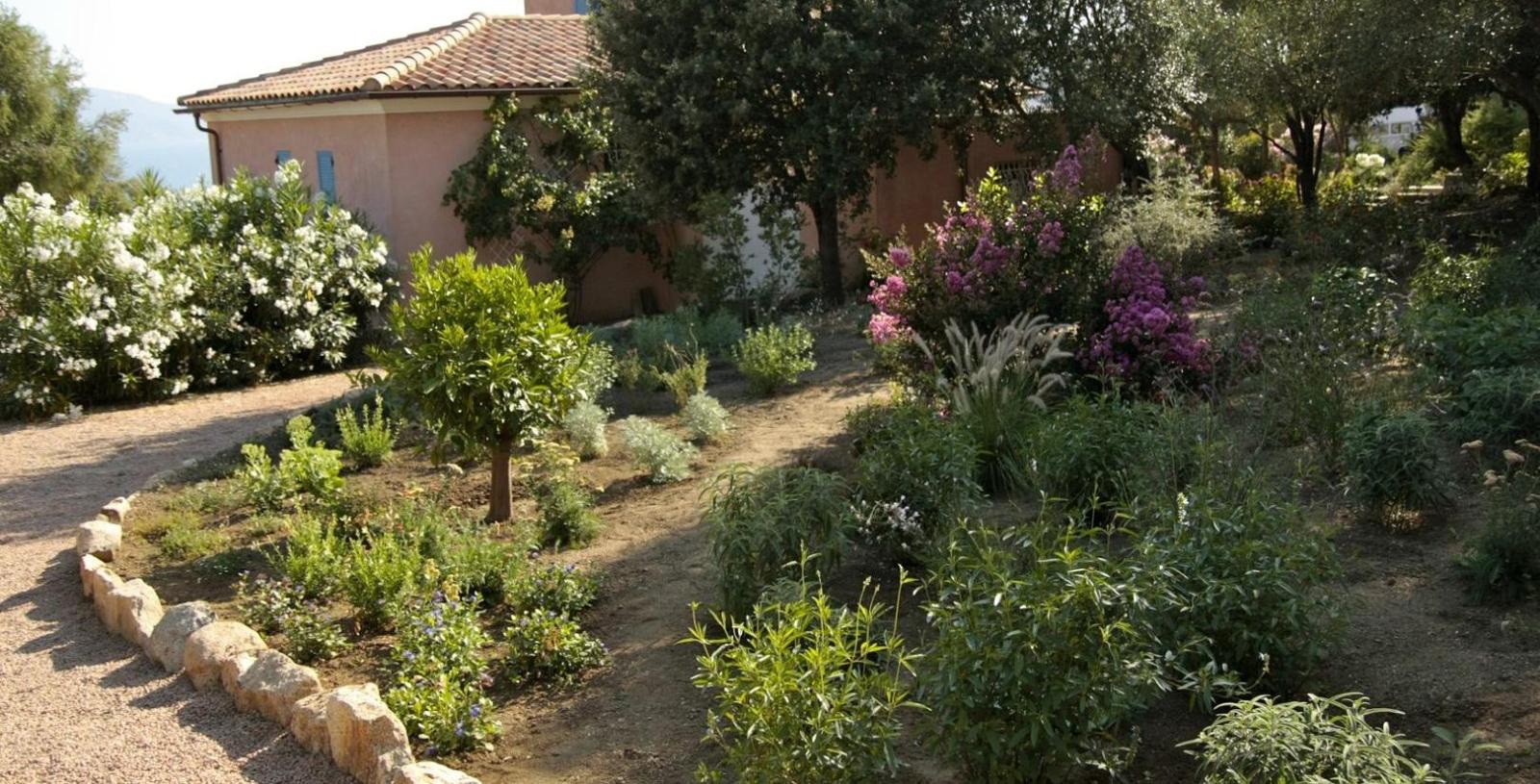 Conception d'aménagement paysager Eco Jardins à Propriano