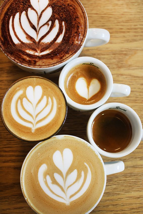 Una persona sostiene una taza de capuchino delante de una planta.