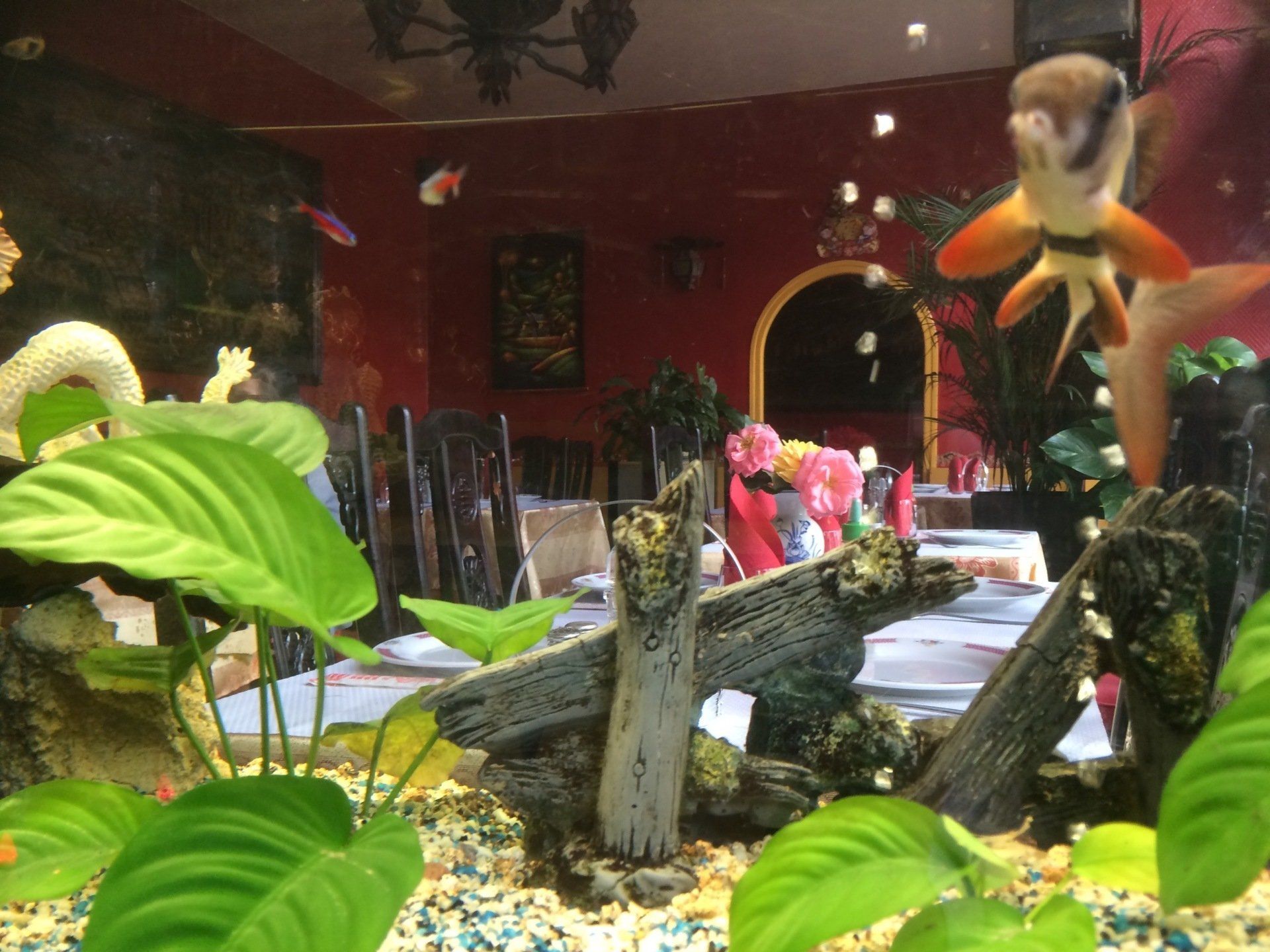 Restaurant spécialités asiatiques