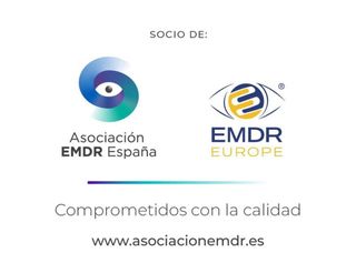 Un logotipo para una empresa llamada emdr europe
