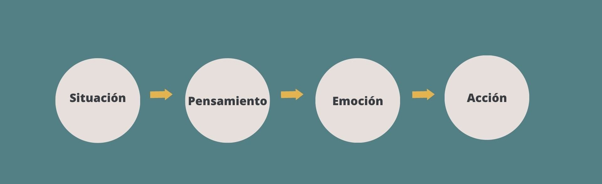 Un diagrama que muestra las etapas de la vida de una persona