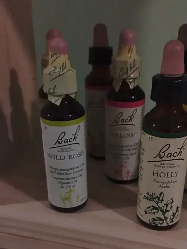 Frascos de remedios florales de Bach con tapones rosas en un estante, incluyendo Rosa Silvestre, Sauce y Acebo.