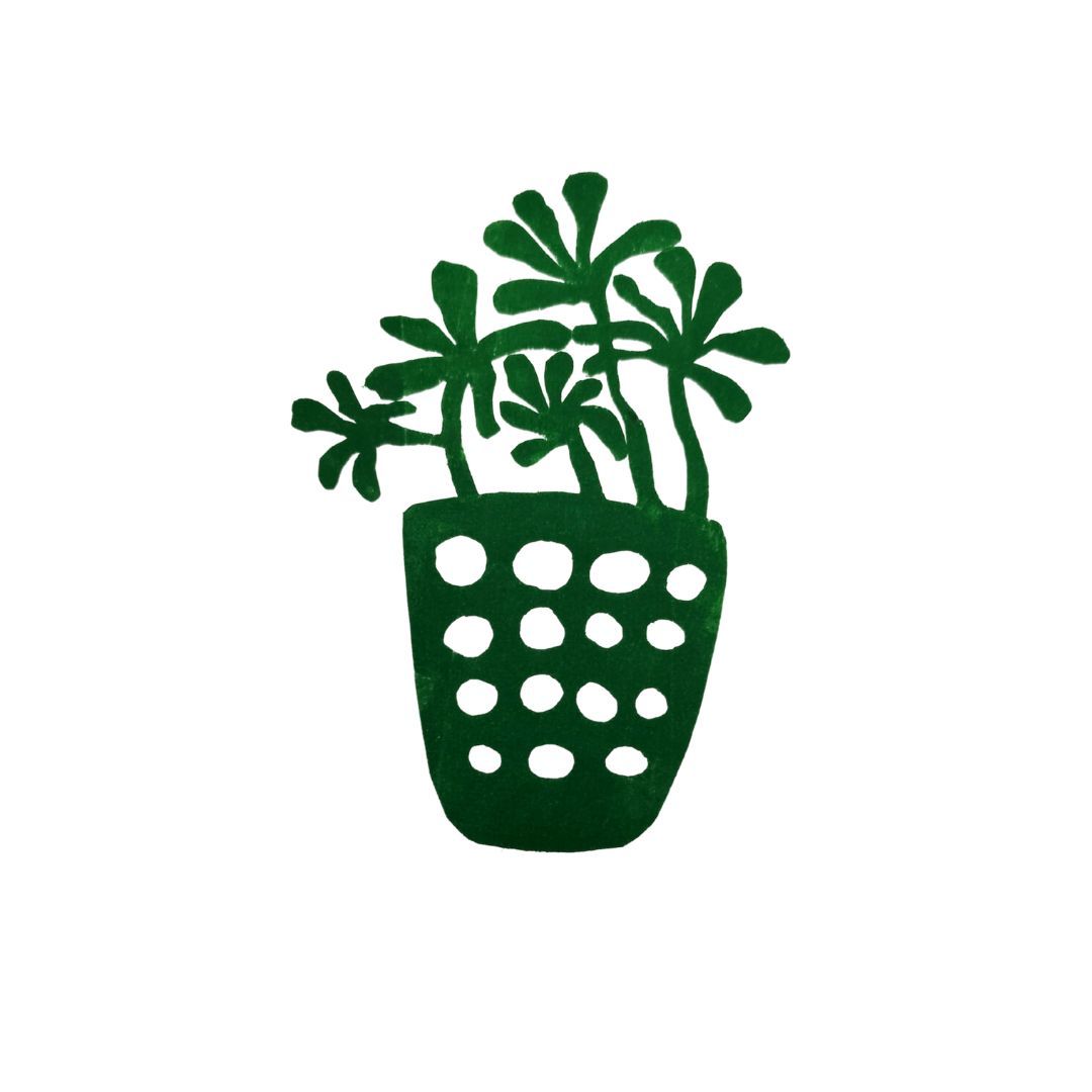 Eine grüne Topfpflanze mit Blüten darin auf weißem Hintergrund.