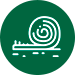 Un icono de un rollo de alfombra en un círculo verde.